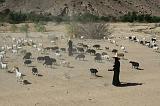 IMG_3410 pastorelle e contadine rientrano al villaggio (Wadi Do'an)